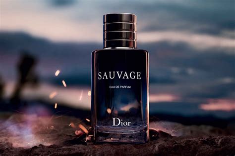 sauvage dior uomo|dior sauvage best price.